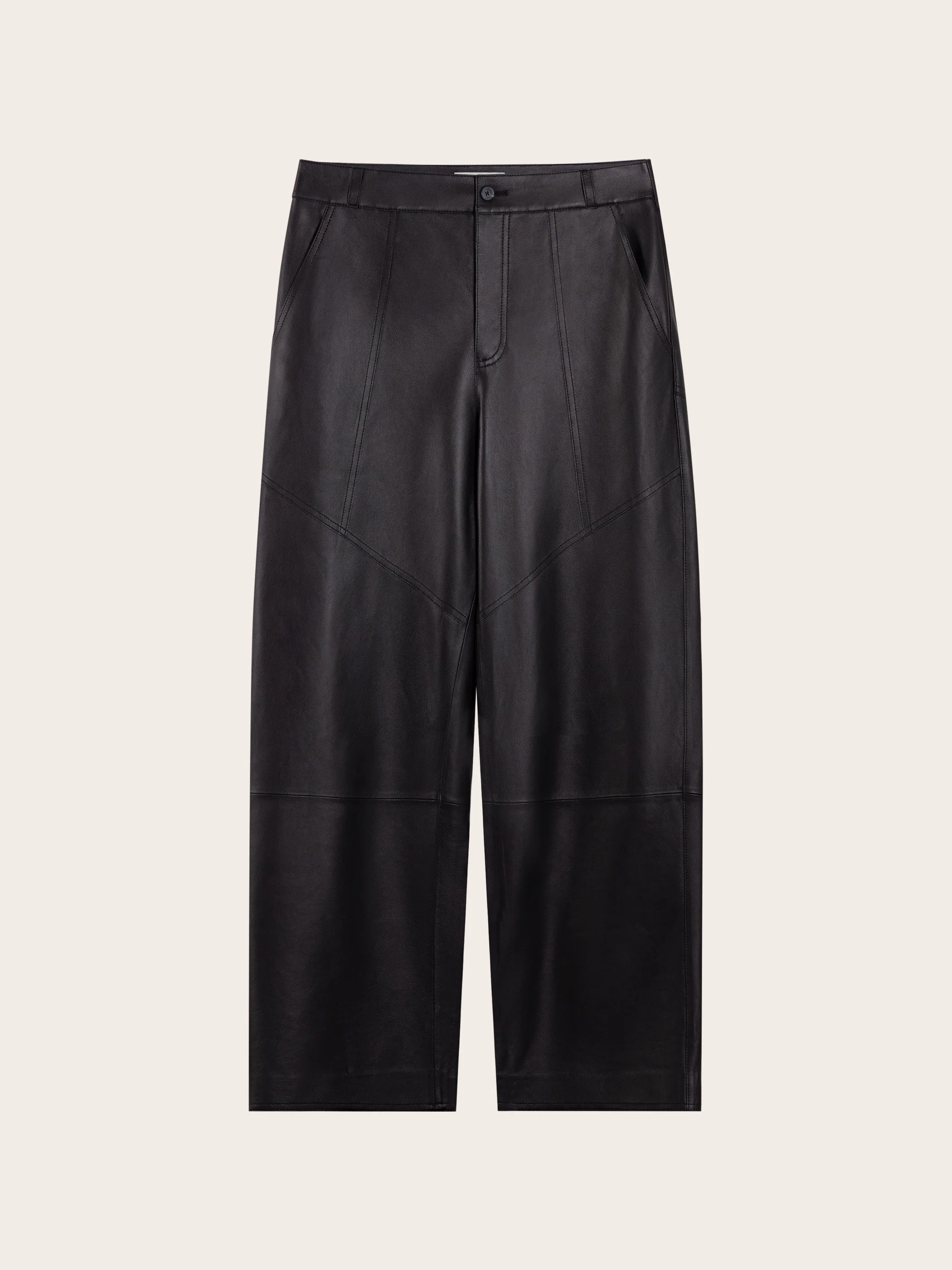 Corin Lambskin Panelled Pants - Image 5