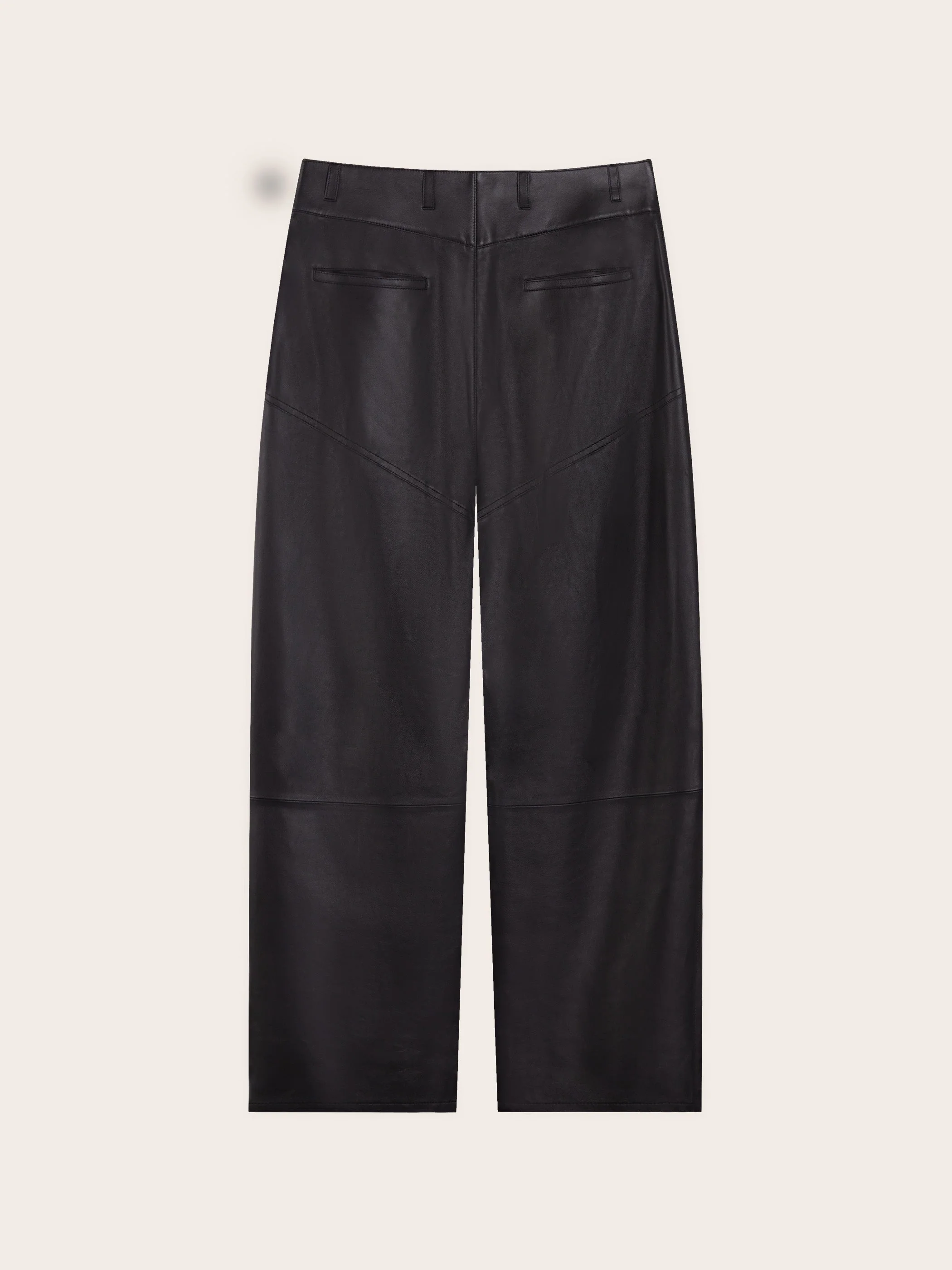 Corin Lambskin Panelled Pants - Image 6